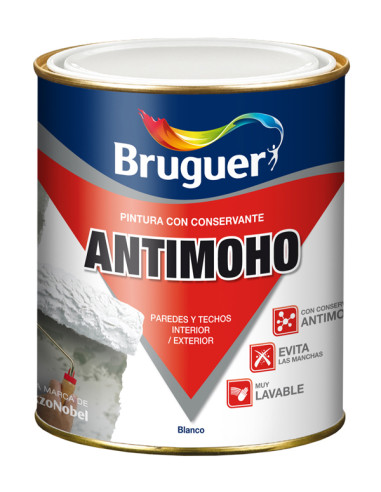 ANTIMOHO PINTURA