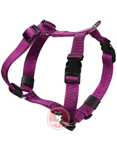 ARNES PERRO NYLON MORADO