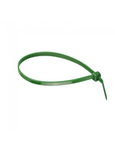 BRIDA NYLON VERDE C/100